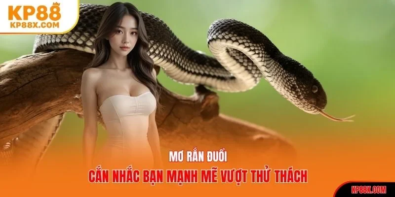 Mơ rắn đuổi cắn nhắc bạn mạnh mẽ vượt thử thách