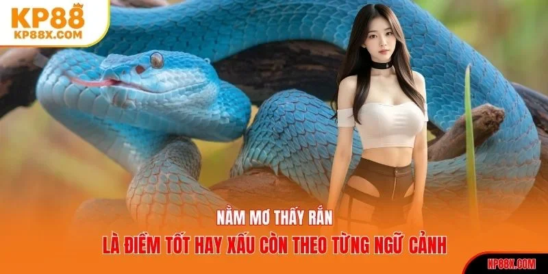 Nằm mơ thấy rắn là điềm tốt hay xấu còn theo từng ngữ cảnh